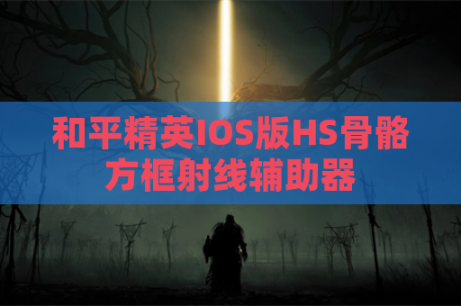和平精英IOS版HS骨骼方框射线辅助器