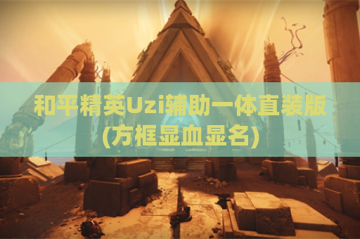 和平精英Uzi辅助一体直装版(方框显血显名)